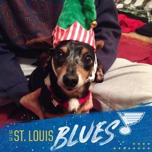 Meet your Posher, Anne